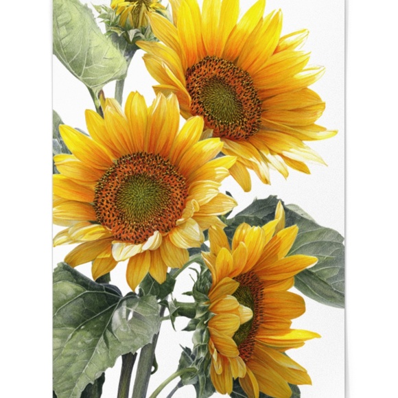 Watercolor Sunflowers Wall Art Print, Unframed - Bright Floral Charm - Picture 2 of 7